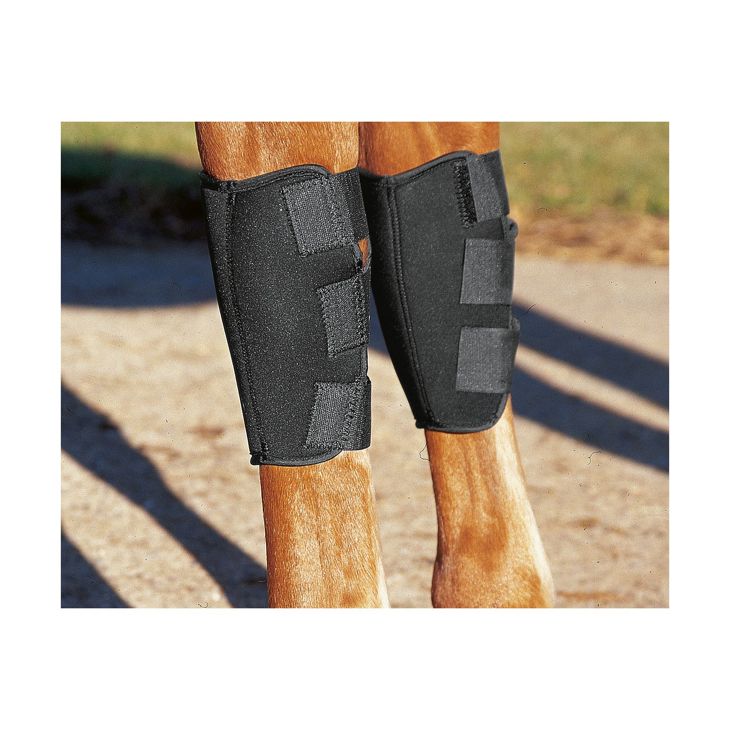 PROTECT by Horse-Friends Hippopren-Gelenkschützer für Vorderbeine – Ansicht 2