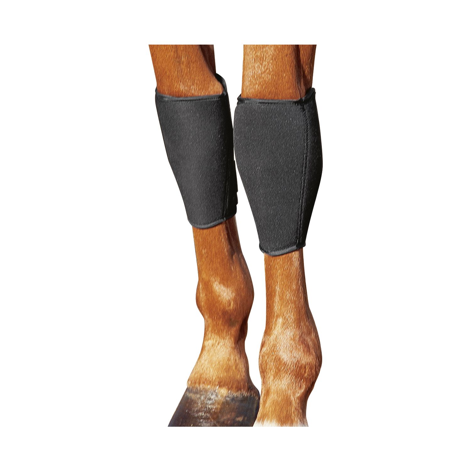 PROTECT by Horse-Friends Hippopren-Gelenkschützer für Vorderbeine – Ansicht 1