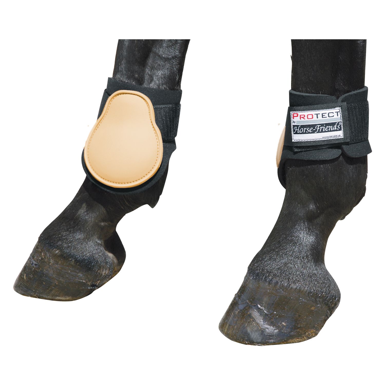 PROTECT by Horse-Friends Streichkappen – Ansicht 1