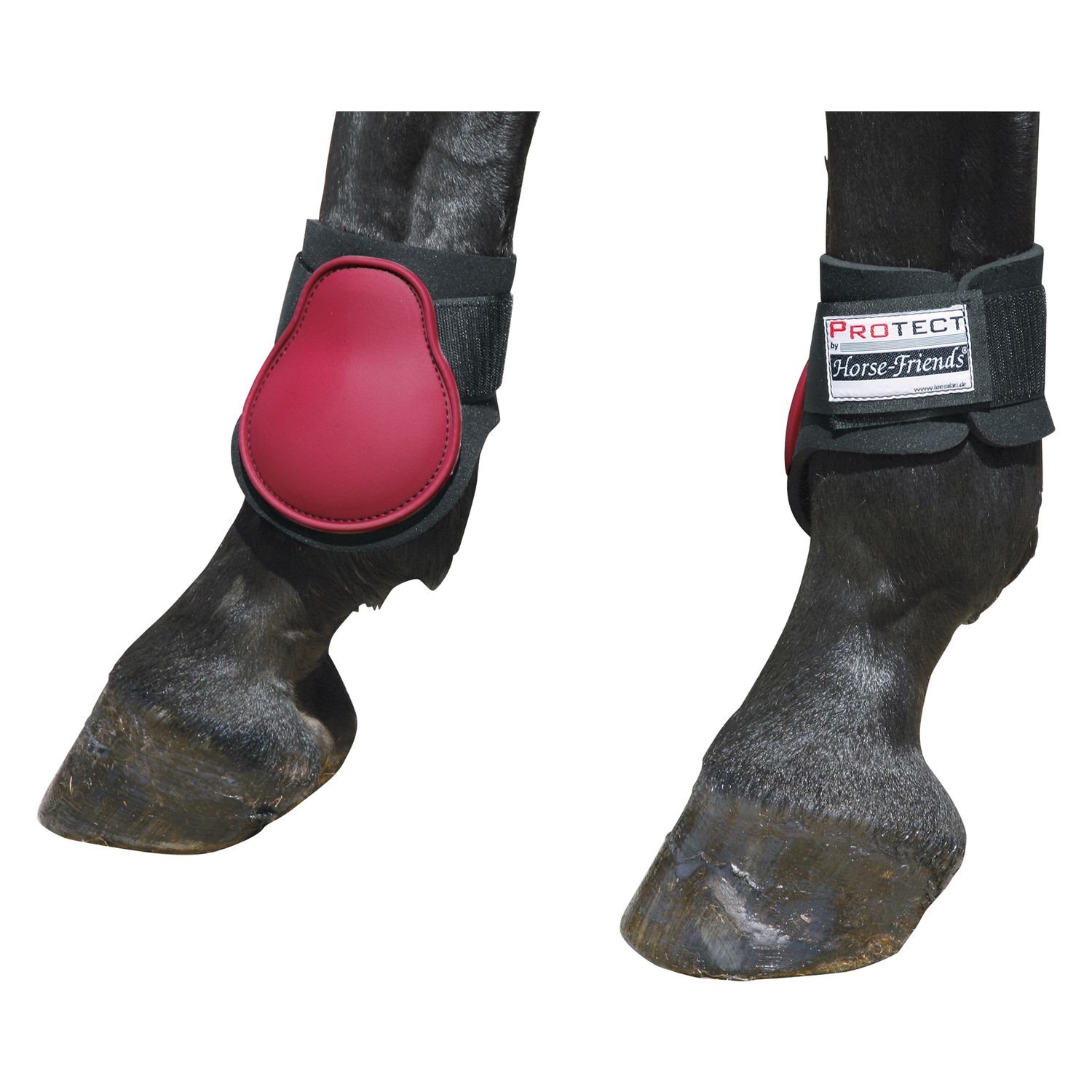 PROTECT by Horse-Friends Streichkappen – Ansicht 1