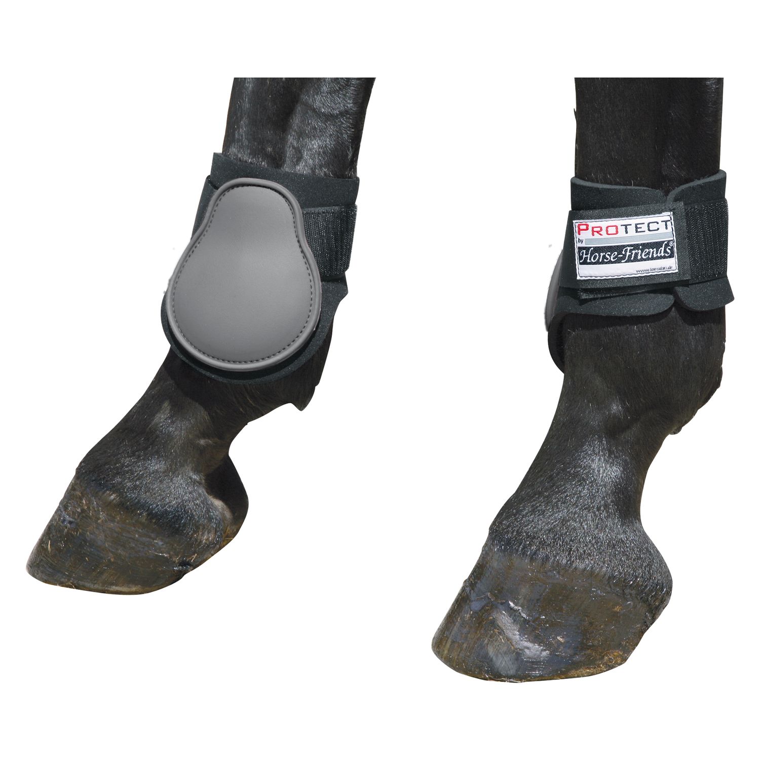 PROTECT by Horse-Friends Streichkappen – Ansicht 1