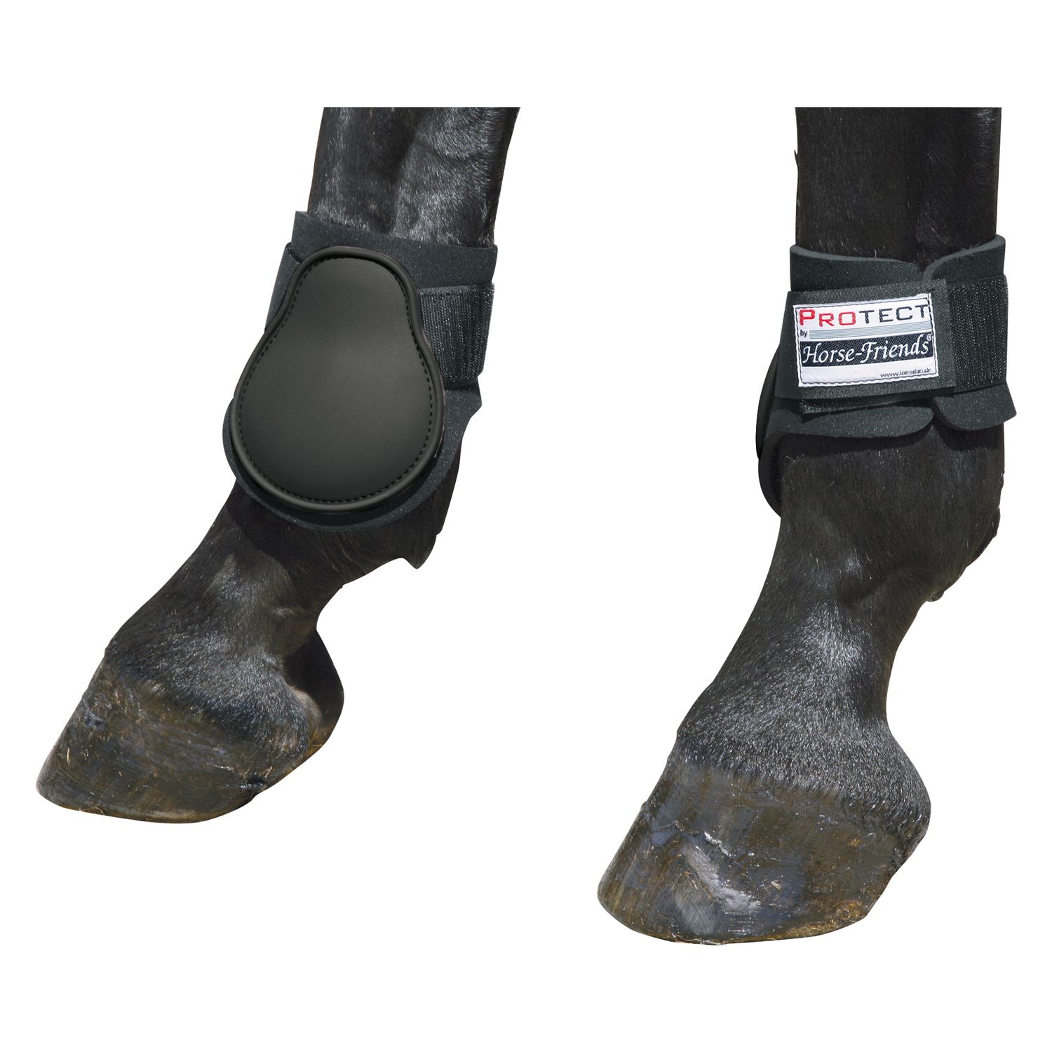 PROTECT by Horse-Friends Streichkappen – Ansicht 1