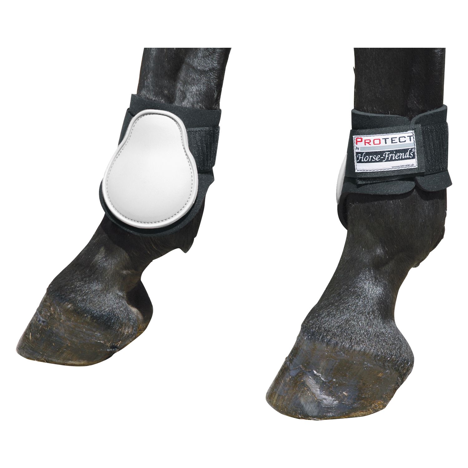 PROTECT by Horse-Friends Streichkappen – Ansicht 1