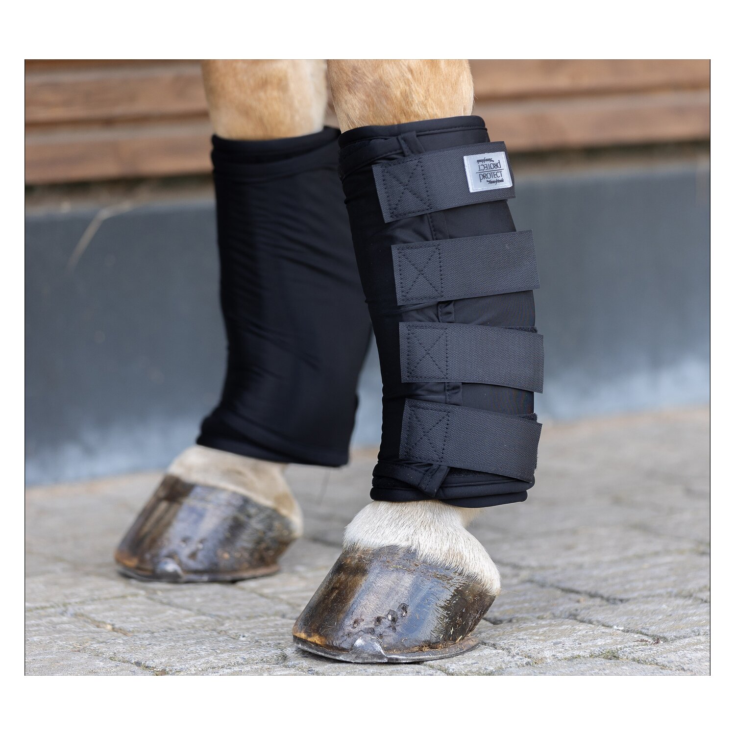 PROTECT by Horse-Friends Wärme- und Kühlbandage schwarz WB