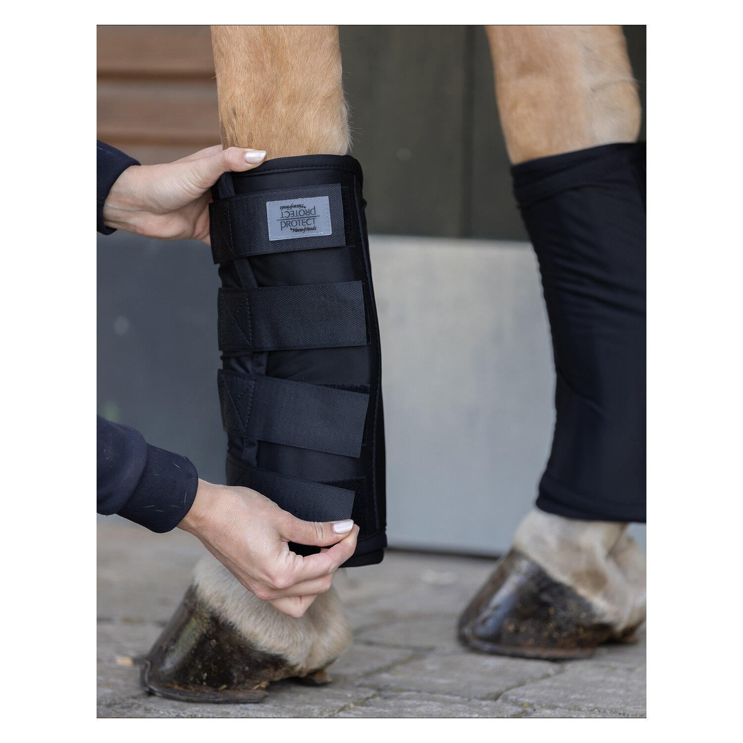 PROTECT by Horse-Friends Wärme- und Kühlbandage &ndash; Ansicht 2