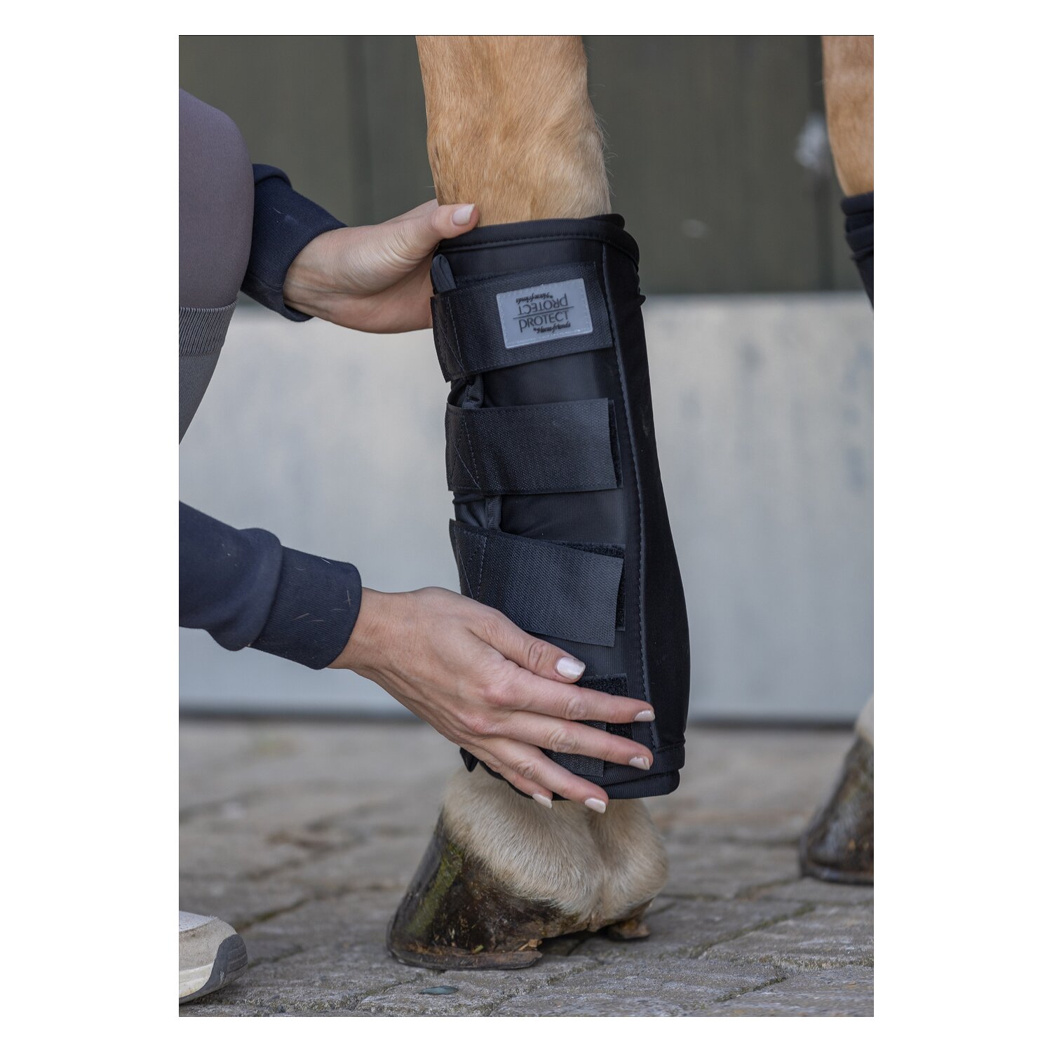 PROTECT by Horse-Friends Wärme- und Kühlbandage &ndash; Ansicht 3