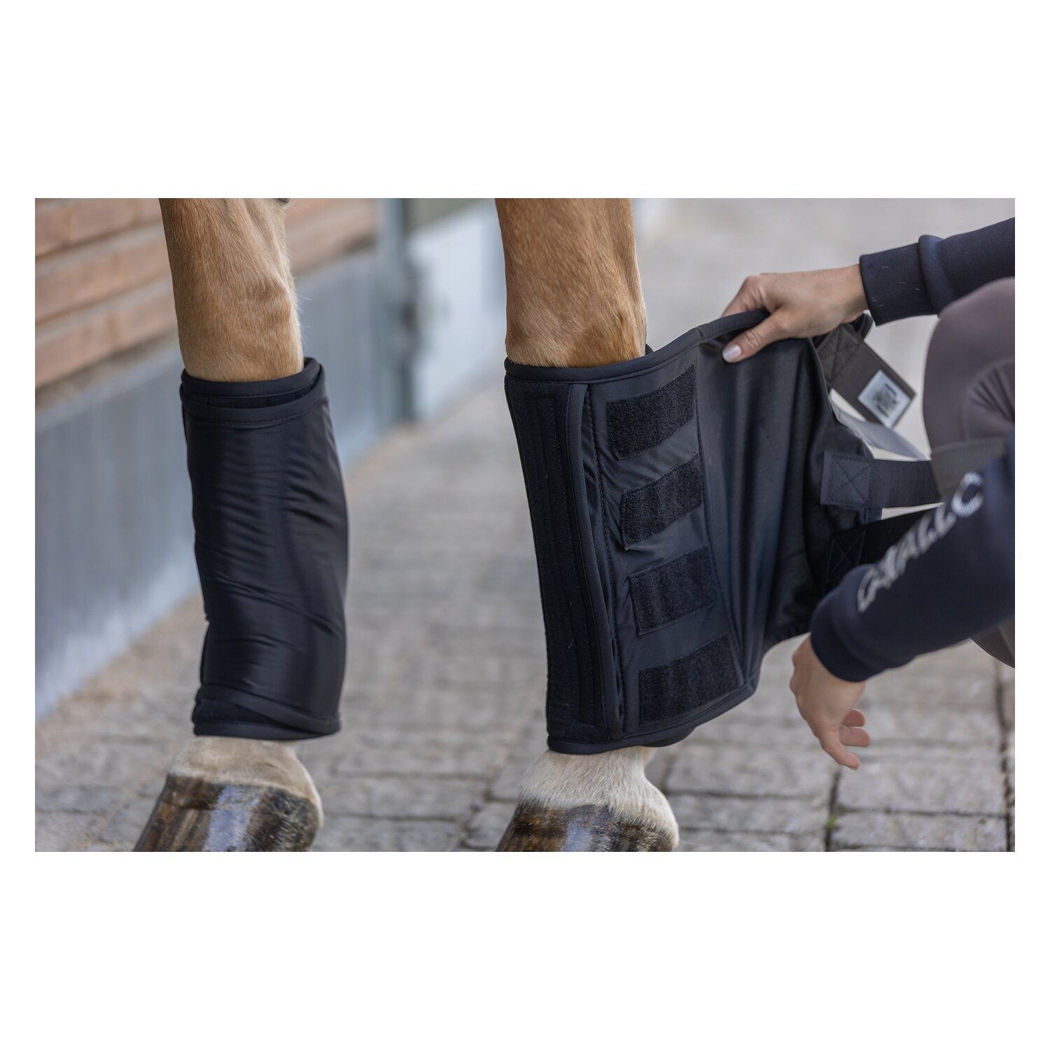 PROTECT by Horse-Friends Wärme- und Kühlbandage &ndash; Ansicht 4