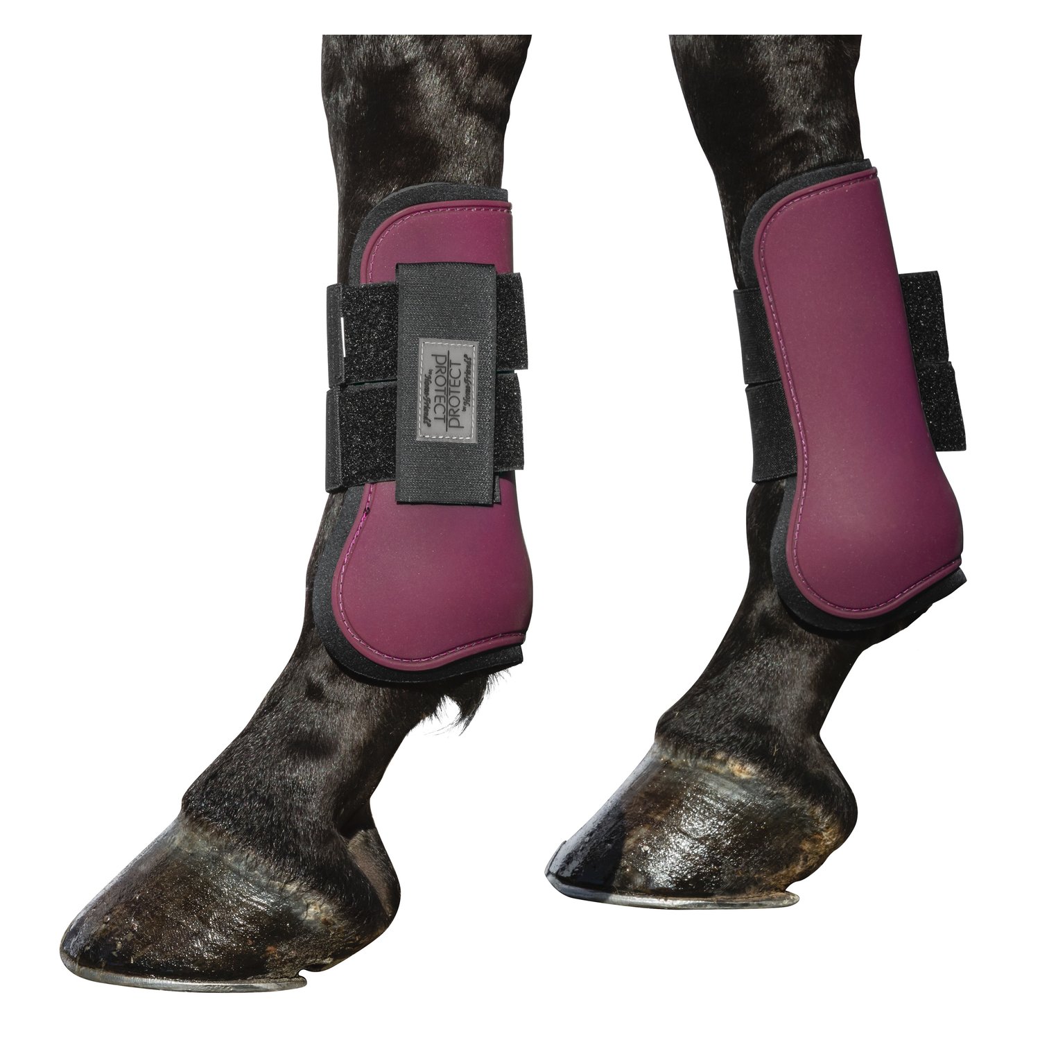 PROTECT by Horse-friends Gamaschen, vorne – Ansicht 2