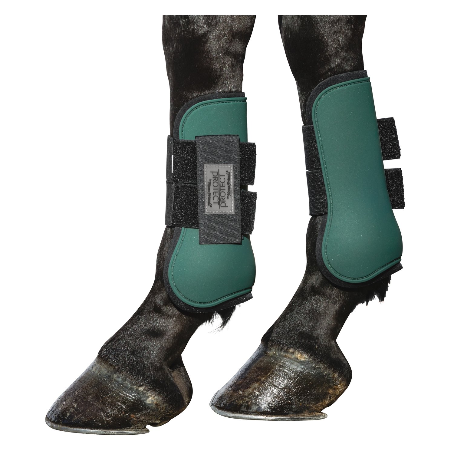PROTECT by Horse-friends Gamaschen, vorne &ndash; Ansicht 2