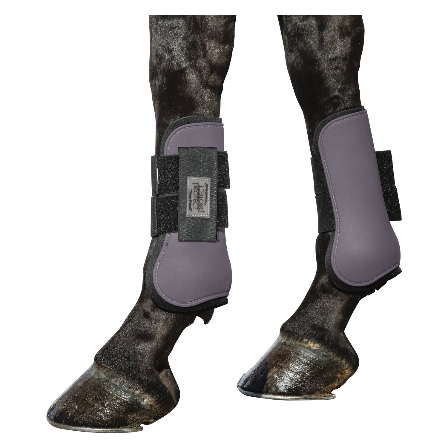 PROTECT by Horse-friends Gamaschen, vorne – Ansicht 2