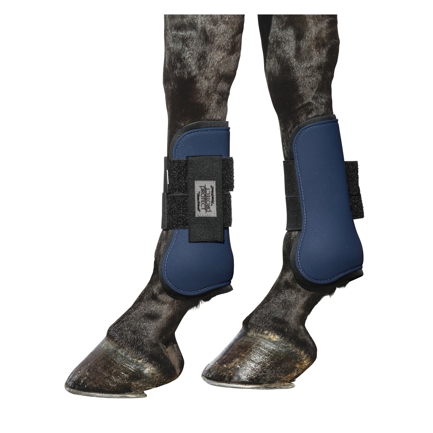 PROTECT by Horse-friends Gamaschen, vorne – Ansicht 2
