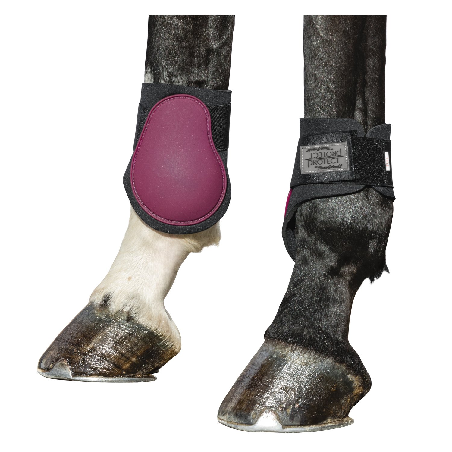 PROTECT by Horse-friends Streichkappen – Ansicht 2