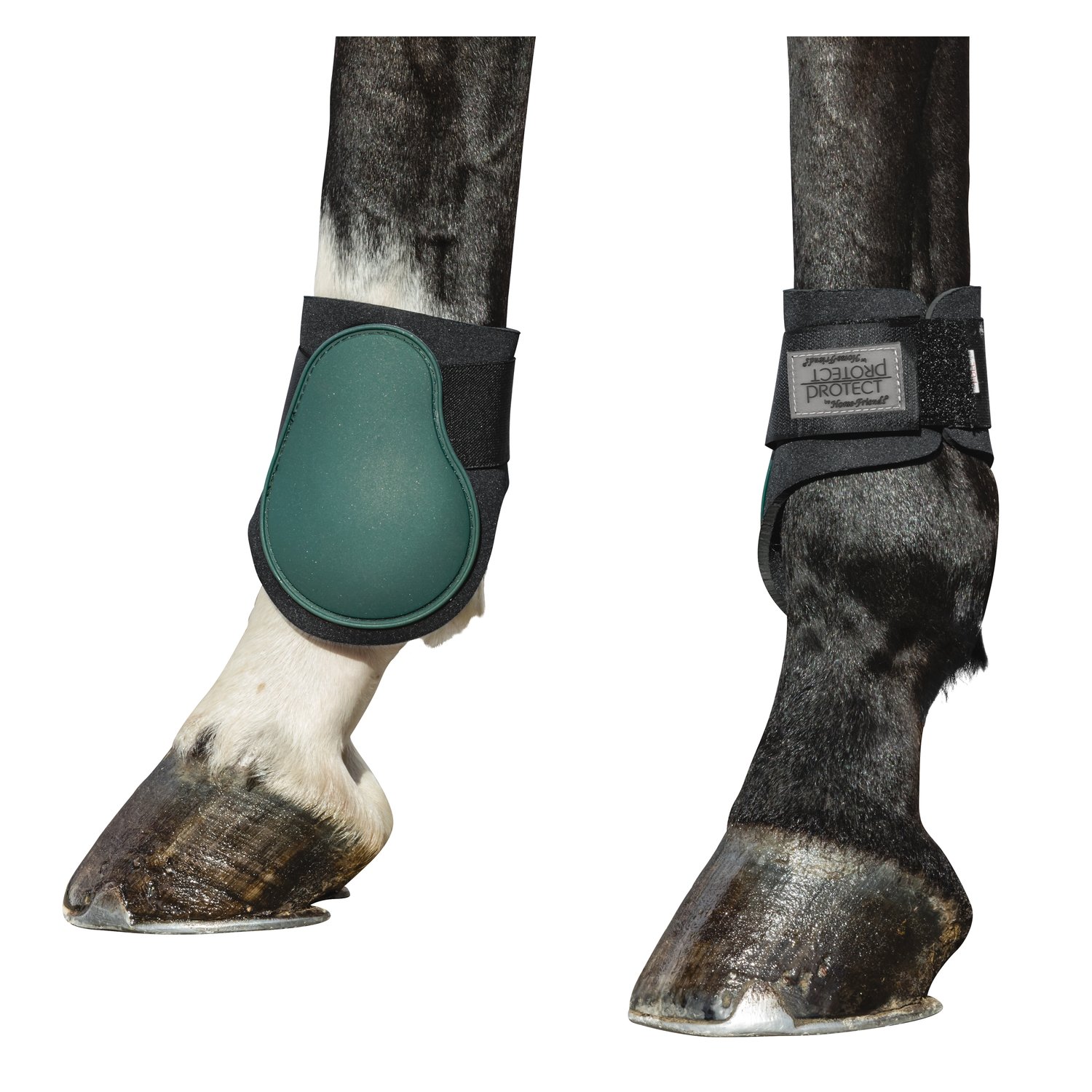 PROTECT by Horse-friends Streichkappen – Ansicht 2