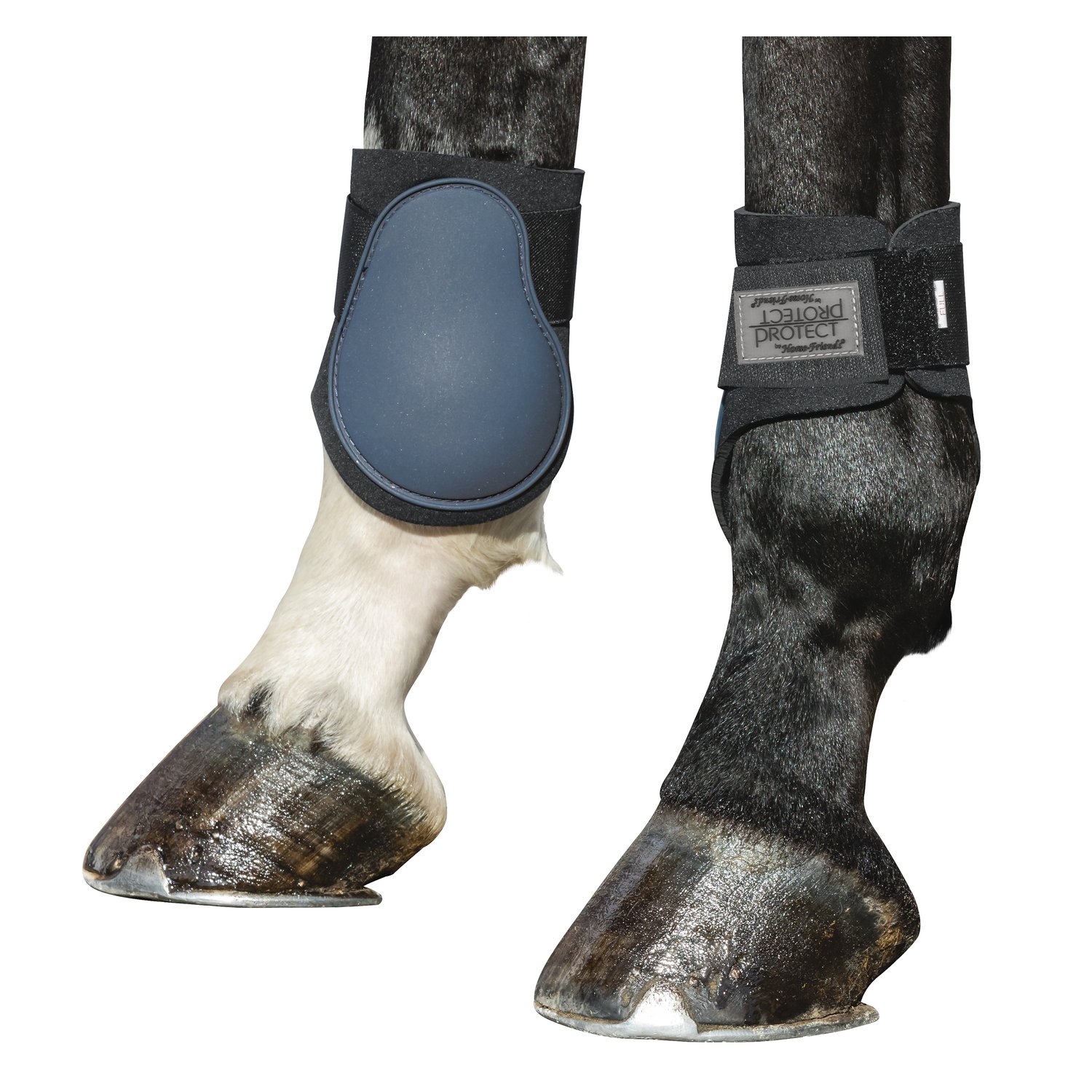 PROTECT by Horse-friends Streichkappen – Ansicht 2