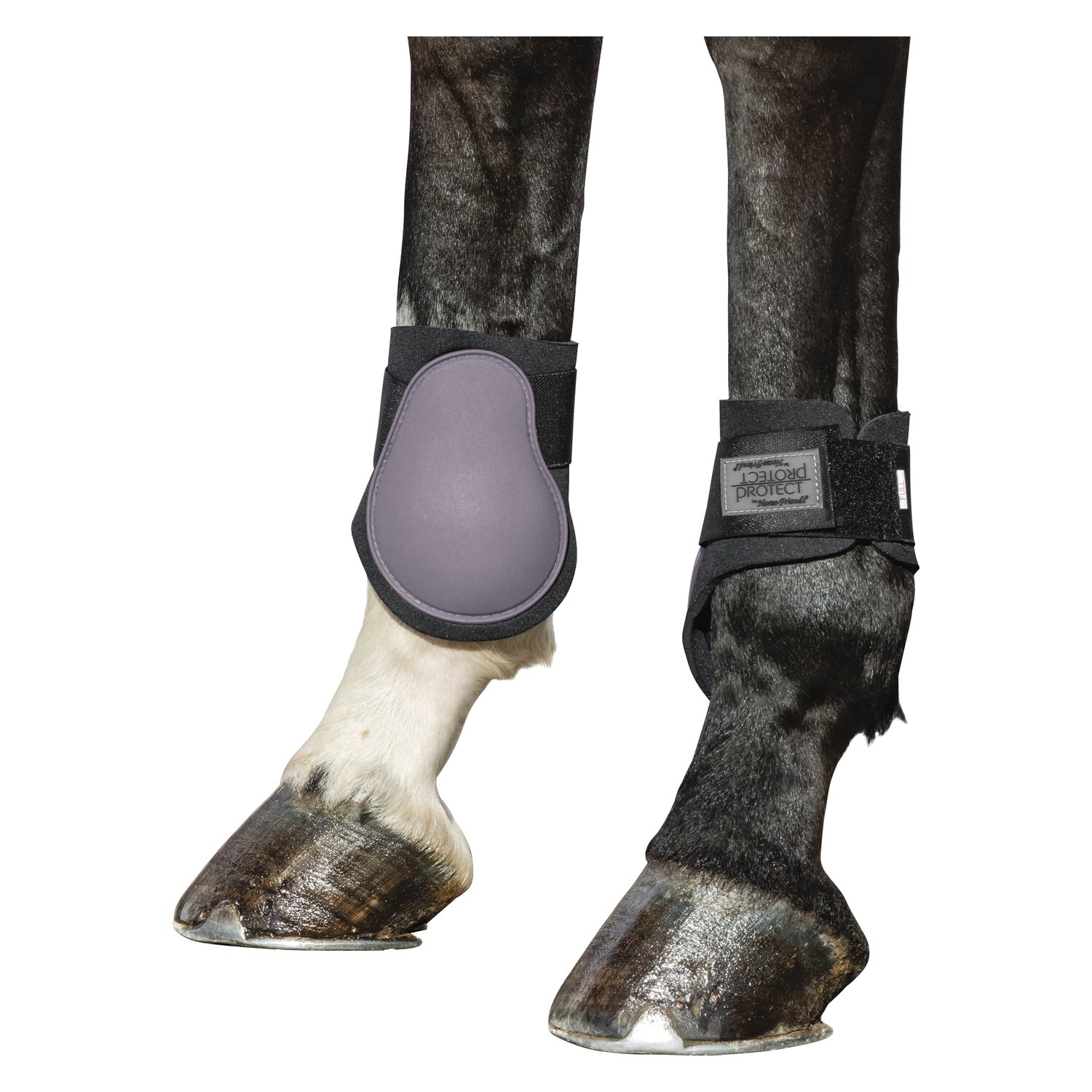PROTECT by Horse-friends Streichkappen – Ansicht 2