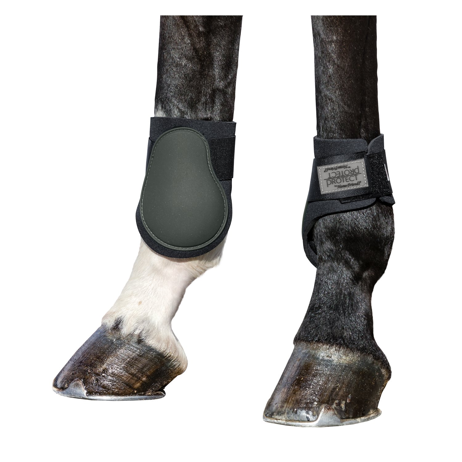 PROTECT by Horse-friends Streichkappen – Ansicht 2