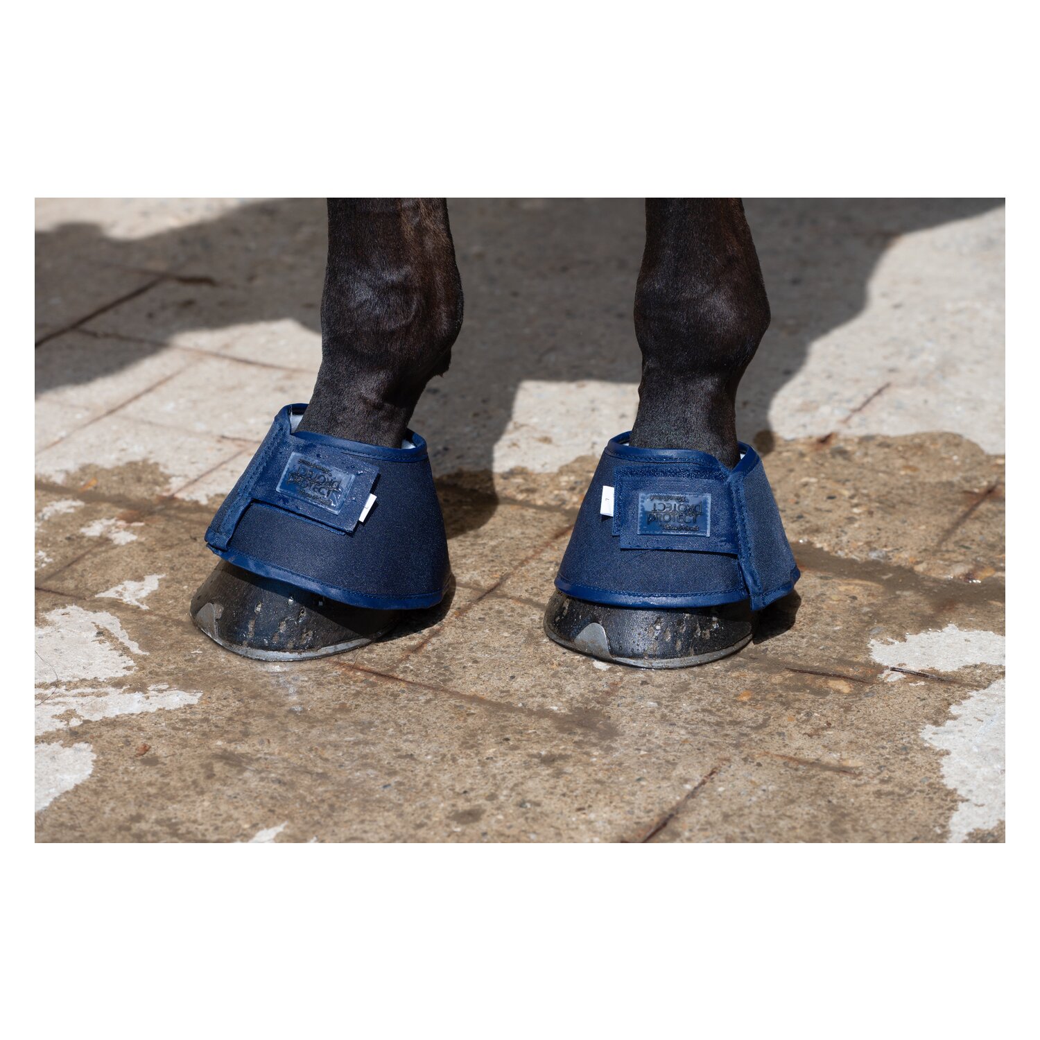 PROTECT by Horse-Friends Hufglocken Water Boot – Ansicht 5