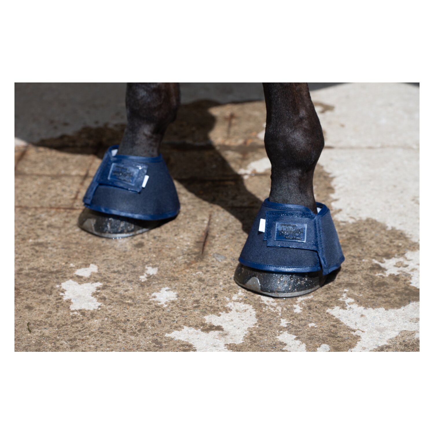 PROTECT by Horse-Friends Hufglocken Water Boot – Ansicht 6