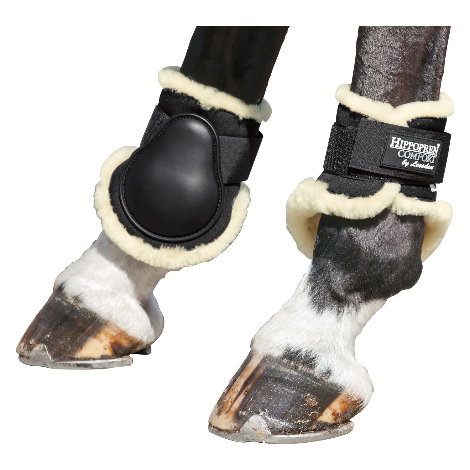 HIPPOPREN COMFORT Lammfell-Streichkappen, hinten – Ansicht 1