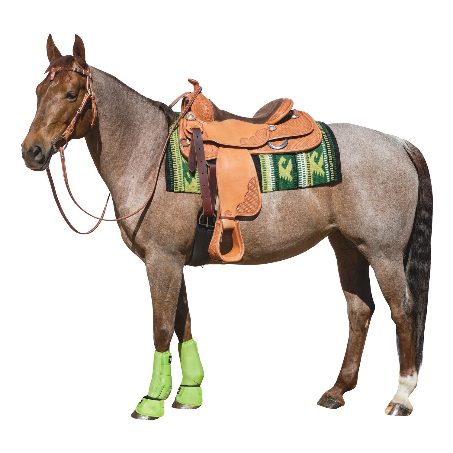 L-pro West Hufglocken No Turn – Ansicht 2