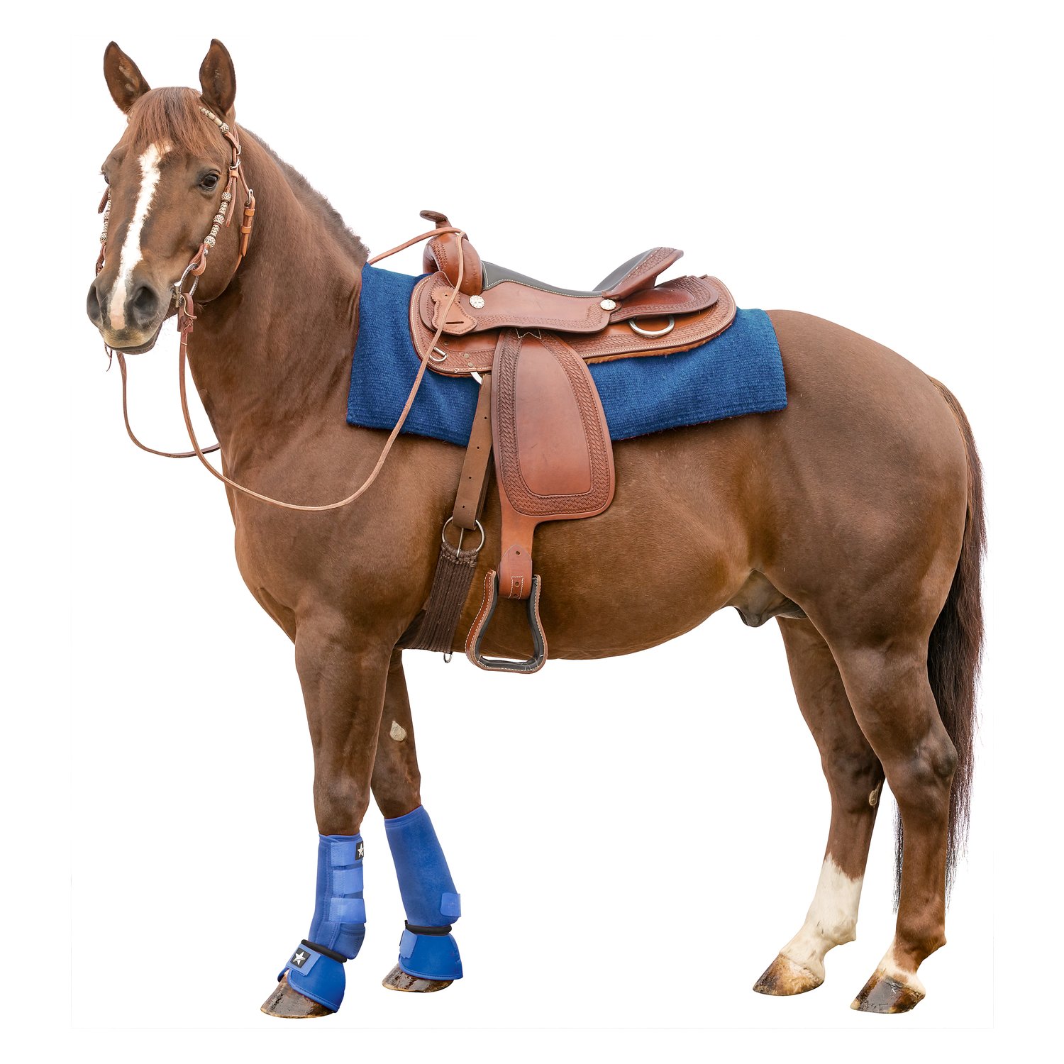 L-pro West Hufglocken No Turn – Ansicht 2