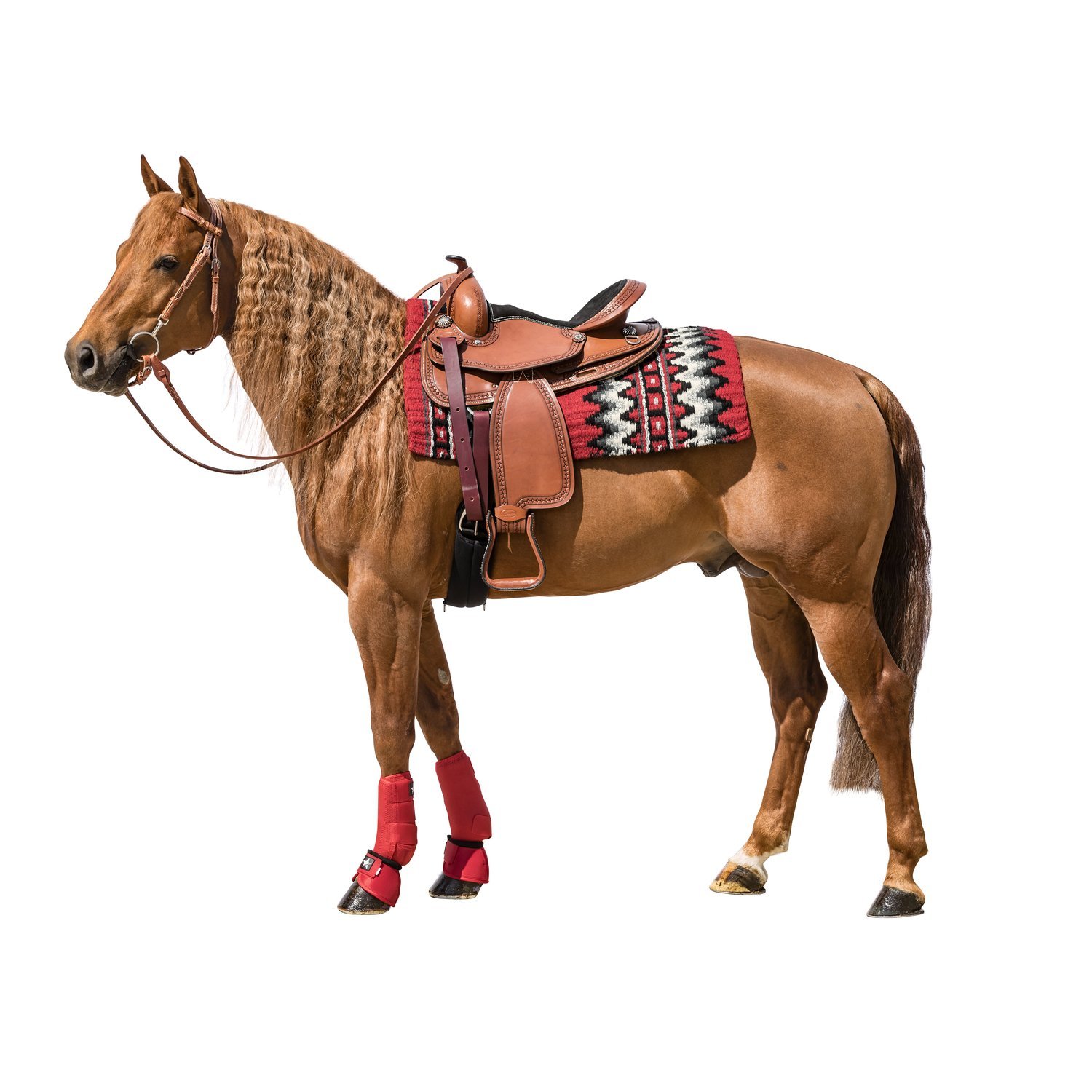 L-pro West Hufglocken No Turn – Ansicht 2