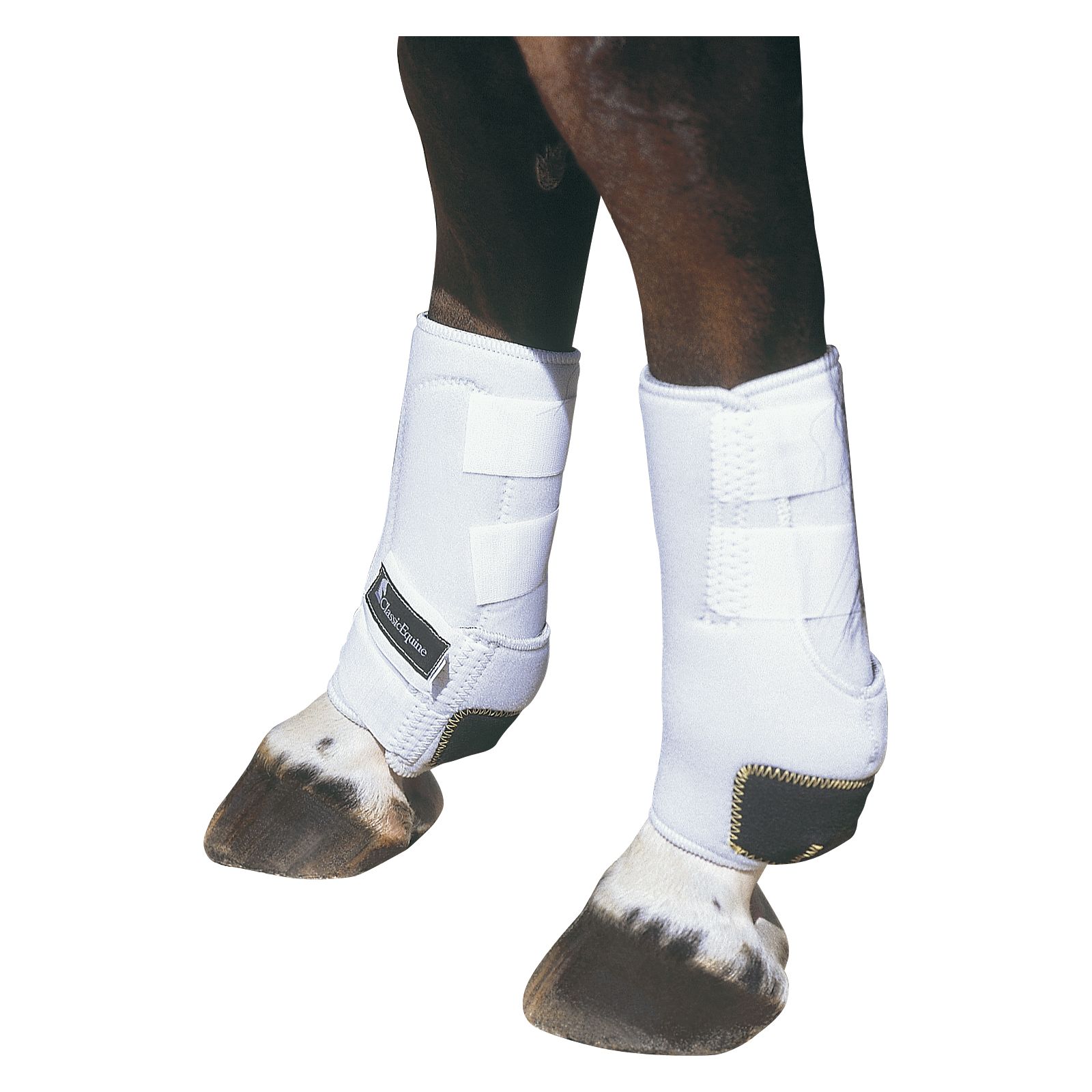 Classic Equine US-Hippopren-Gamaschen, hinten – Ansicht 1