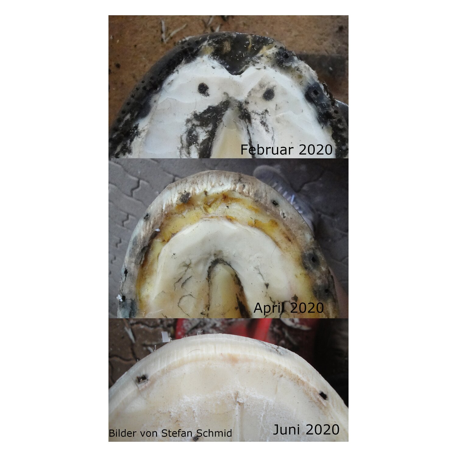 KERALIT undercover – Ansicht 5