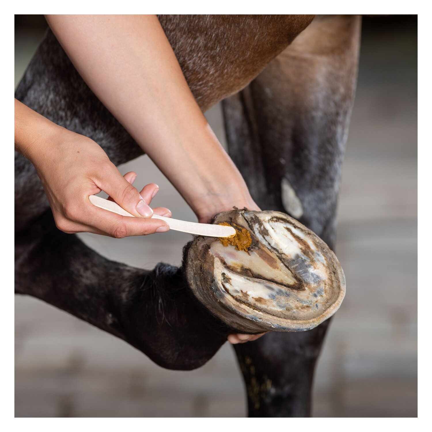 KERALIT undercover – Ansicht 4