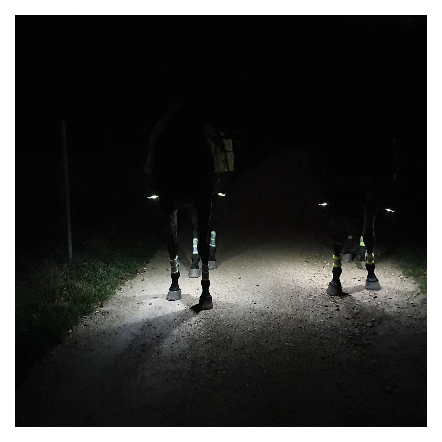 LOVELSTAR Steigbügeleinlagen LEDs Pro – Ansicht 4