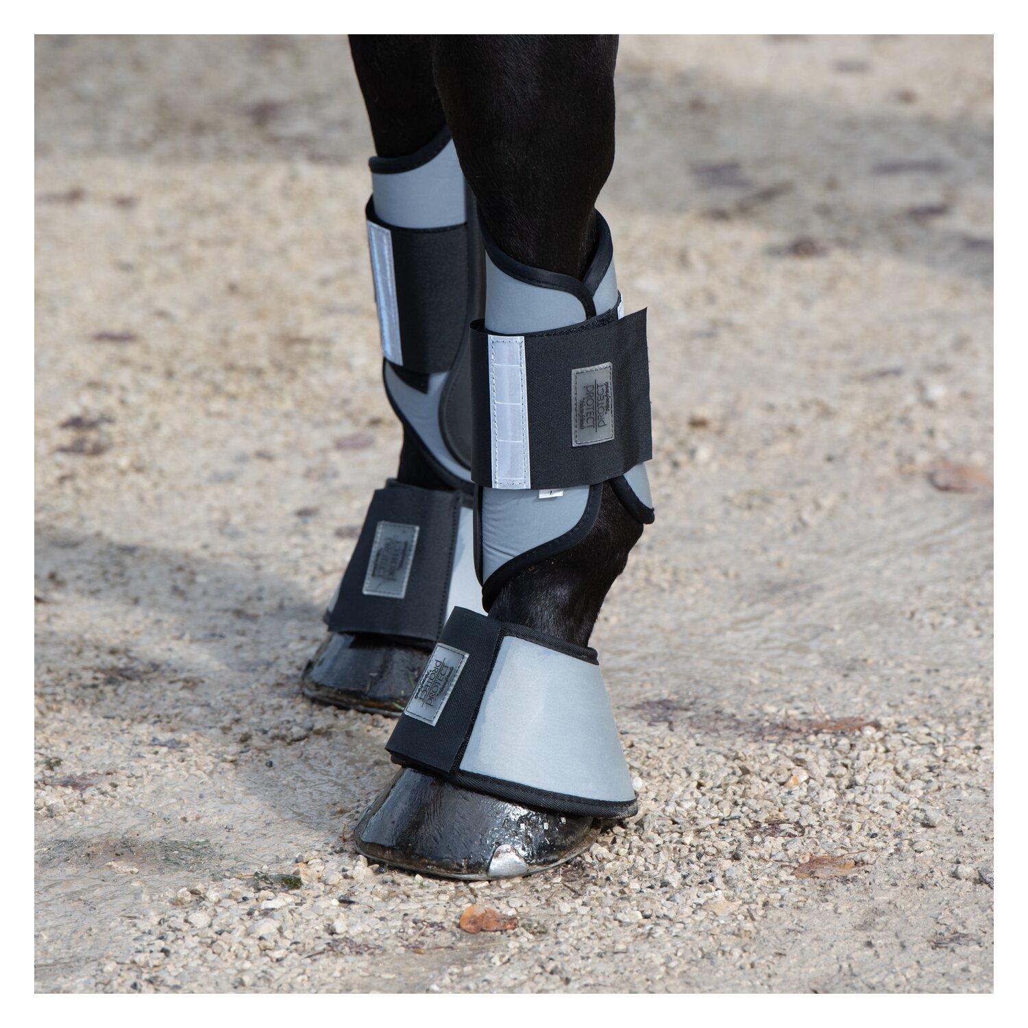 PROTECT by Horse-friends Hufglocken – Ansicht 3