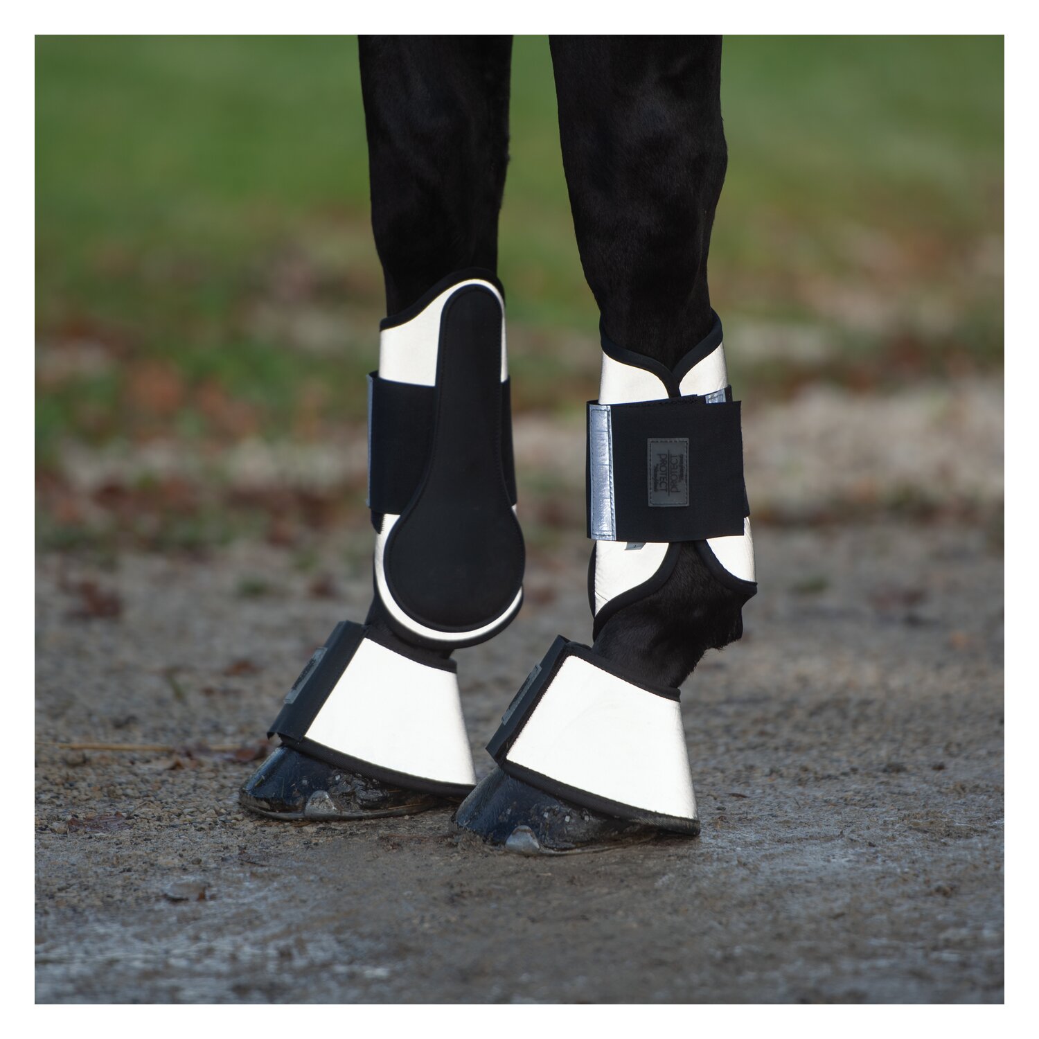 PROTECT by Horse-friends Hufglocken – Ansicht 4