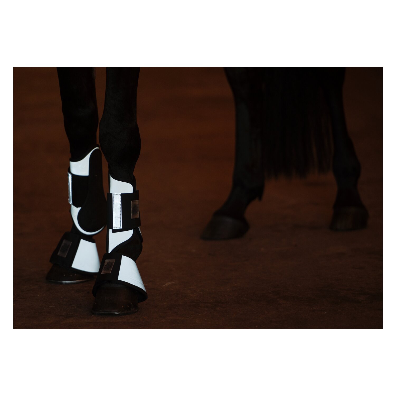 PROTECT by Horse-friends Hufglocken – Ansicht 5