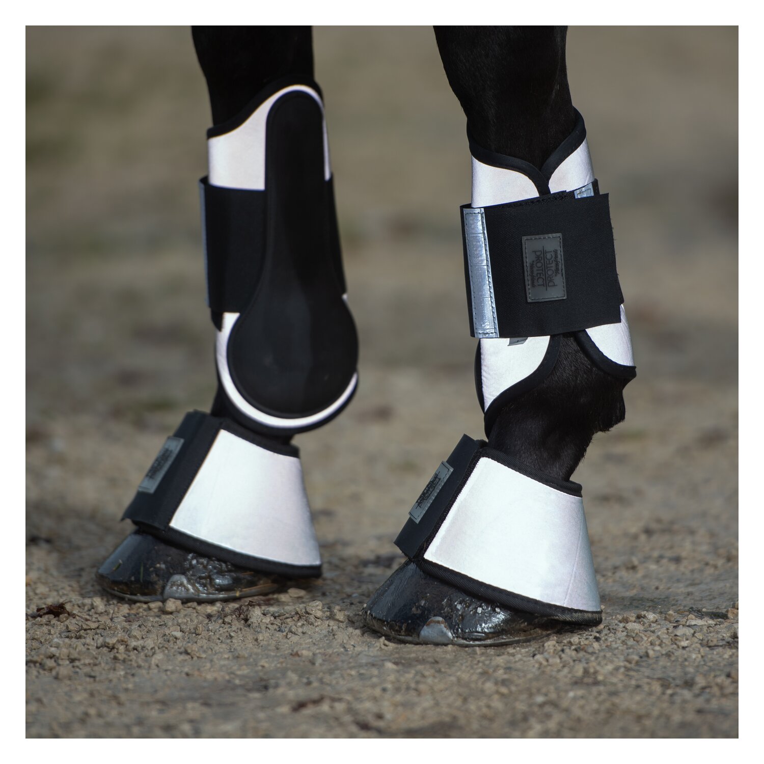 PROTECT by Horse-friends Hufglocken – Ansicht 2