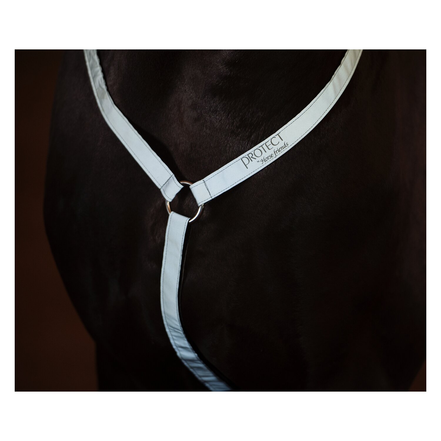 PROTECT by Horse-friends Vorderzeug – Ansicht 1