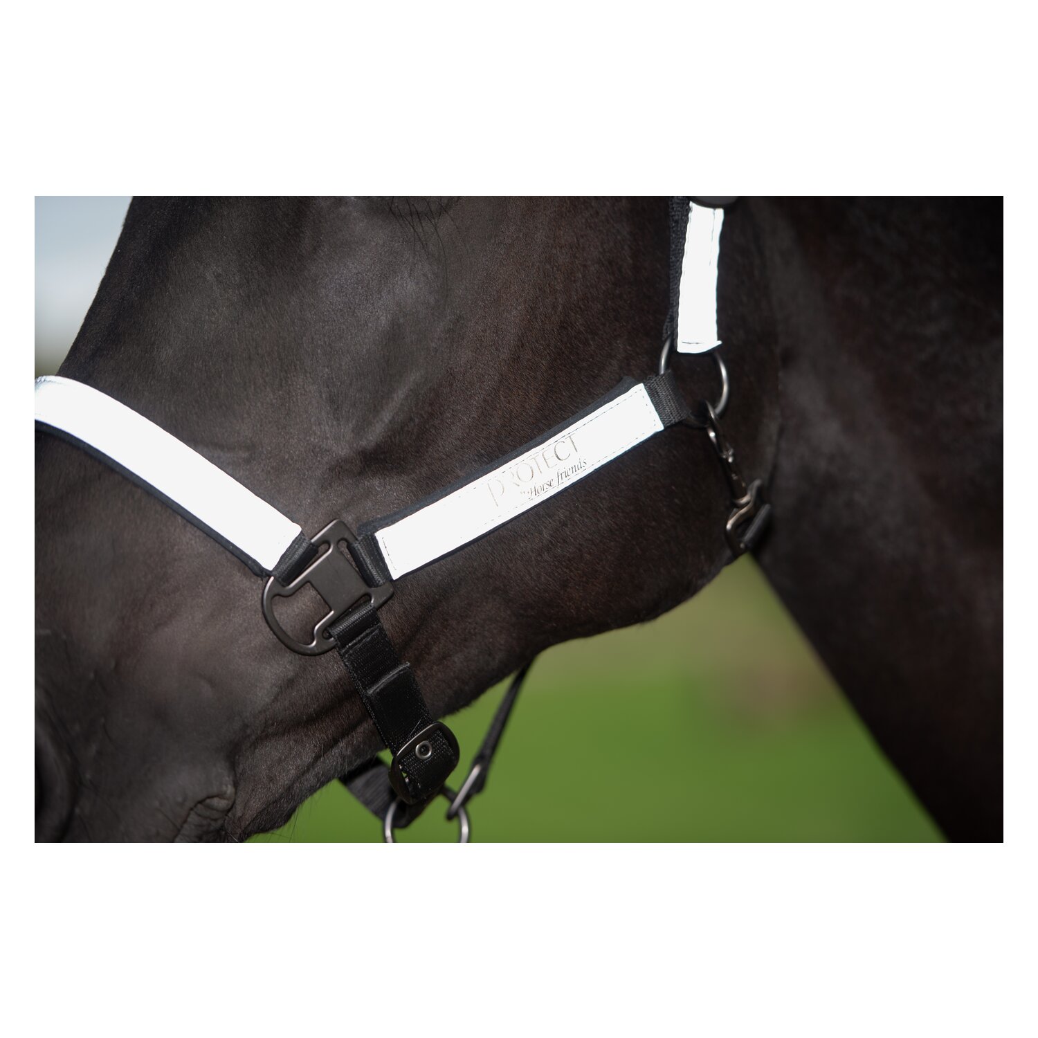 PROTECT by Horse-friends Halfter – Ansicht 5
