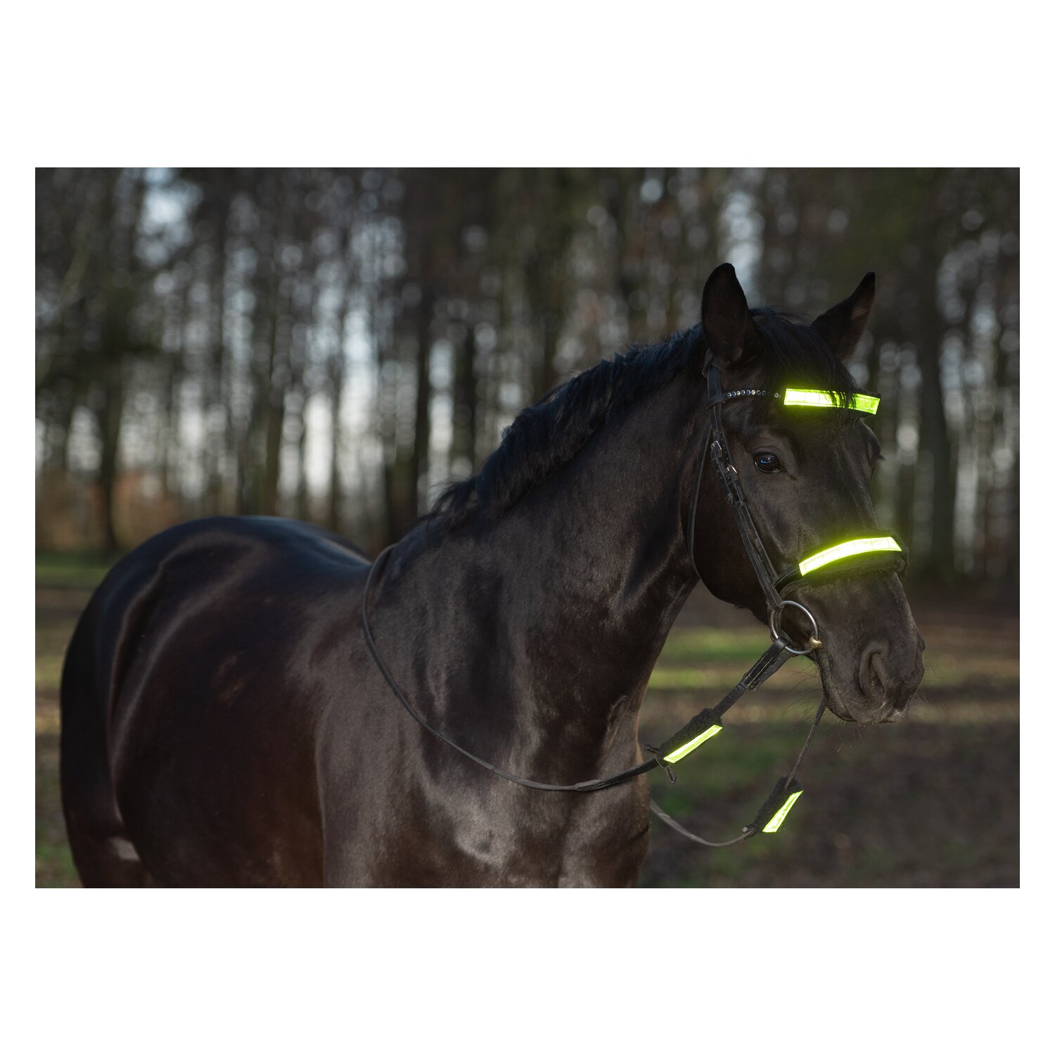 PROTECT by Horse-friends Reflex-Trensen-Set – Ansicht 3