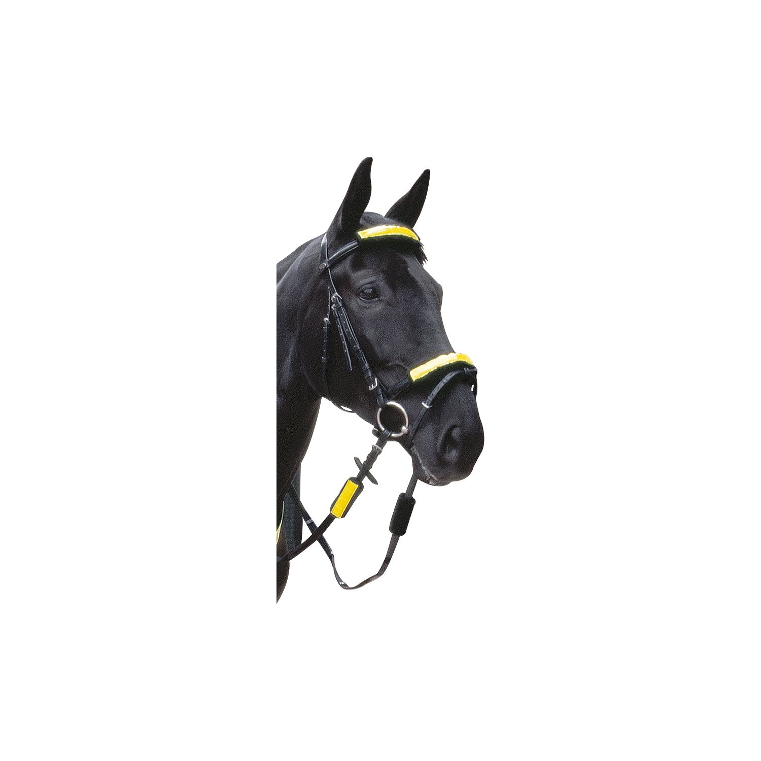 PROTECT by Horse-friends Reflex-Trensen-Set – Ansicht 1