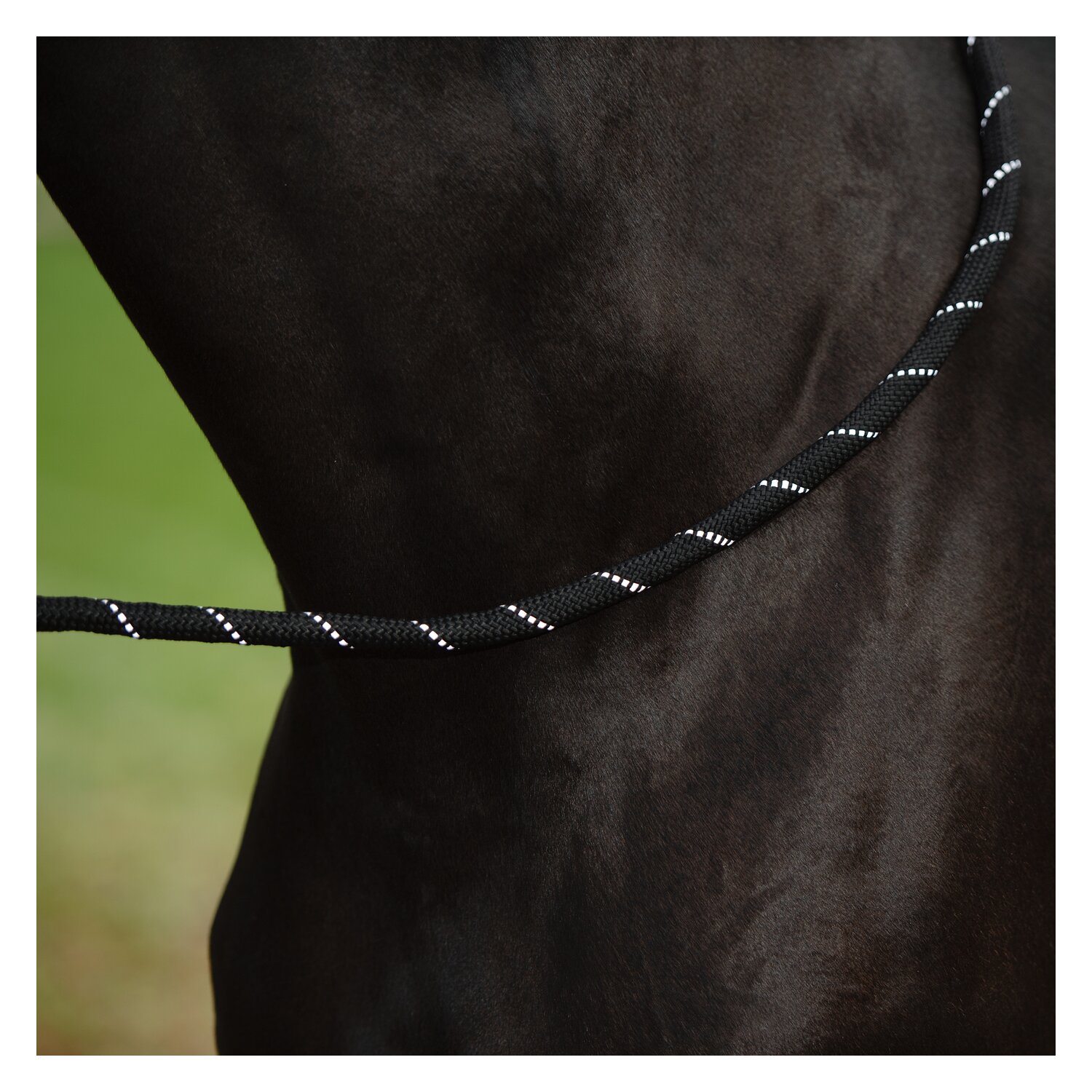 PROTECT by Horse-friends Führstrick – Ansicht 3
