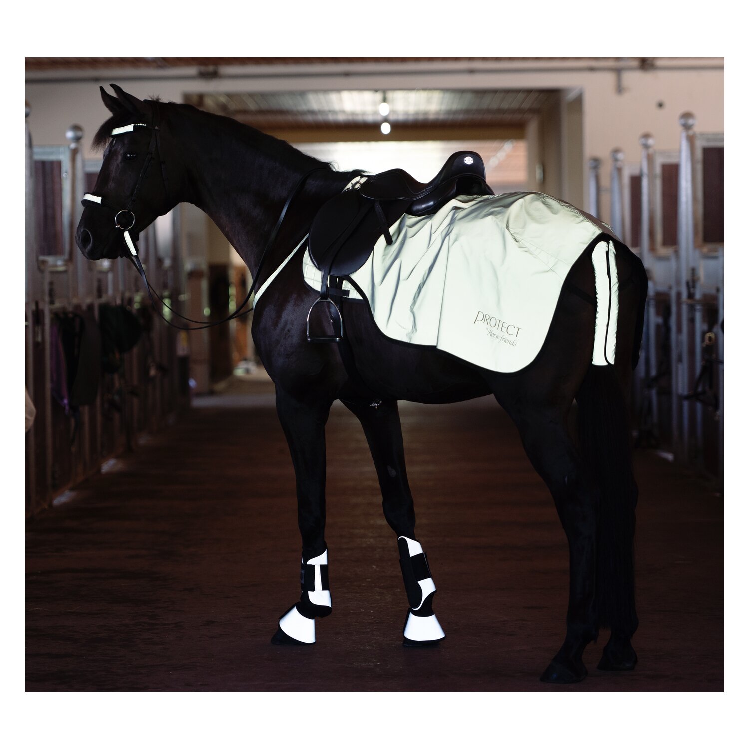 PROTECT by Horse-friends Ausreitdecke &ndash; Ansicht 1