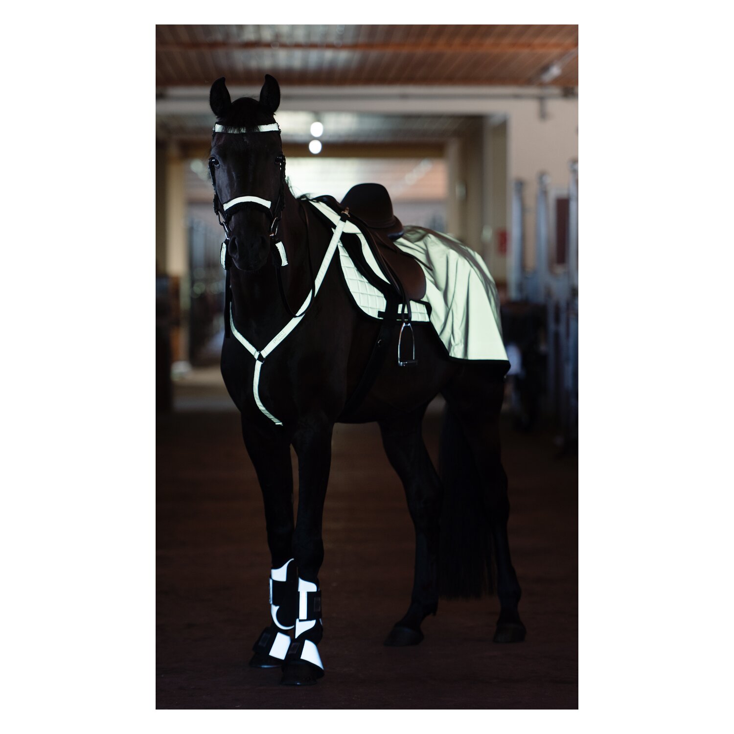 PROTECT by Horse-friends Trensen-Set reflektierend – Ansicht 6