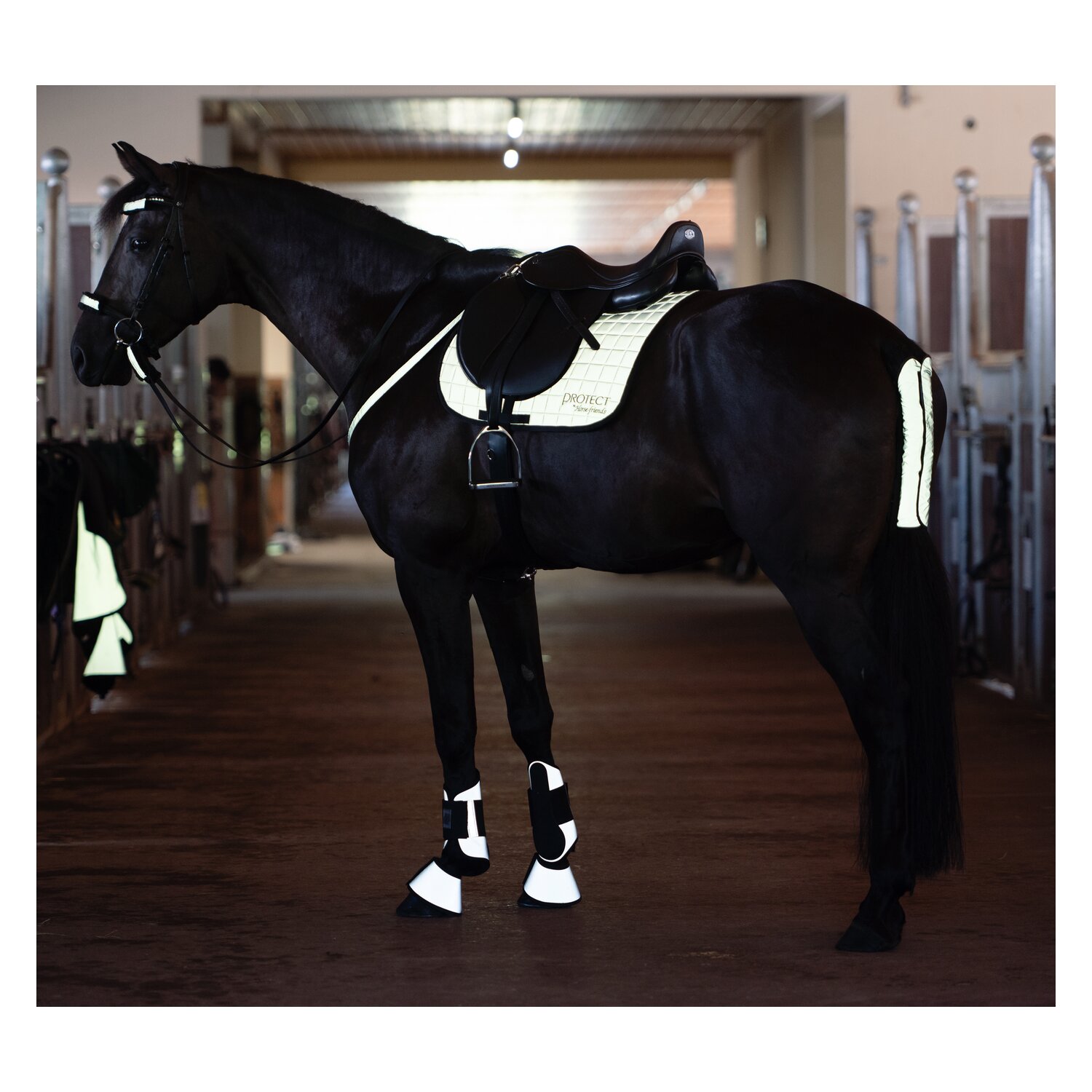 PROTECT by Horse-friends Schabracke – Ansicht 3