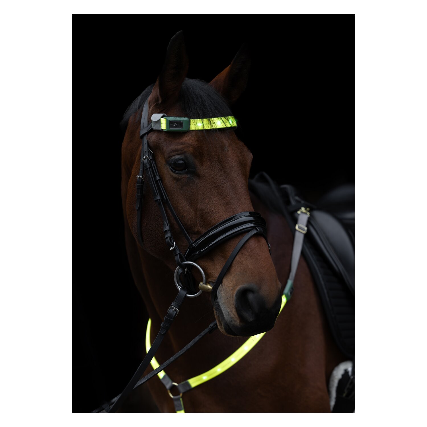 KERBL Stirnriemen LED – Ansicht 4