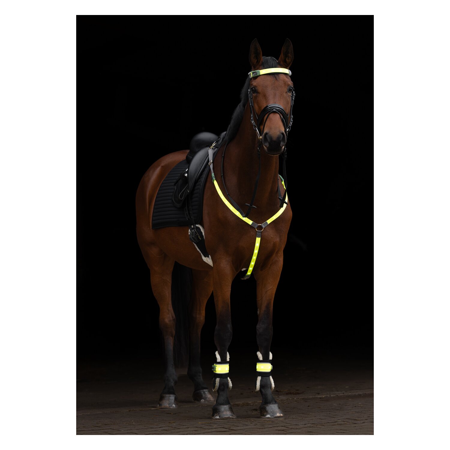 KERBL Stirnriemen LED – Ansicht 6