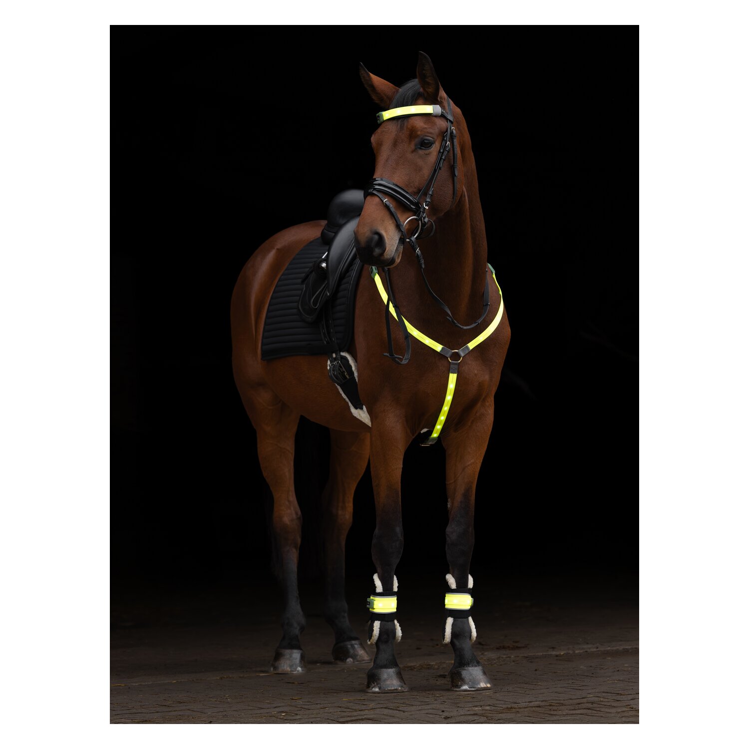 KERBL Stirnriemen LED – Ansicht 7