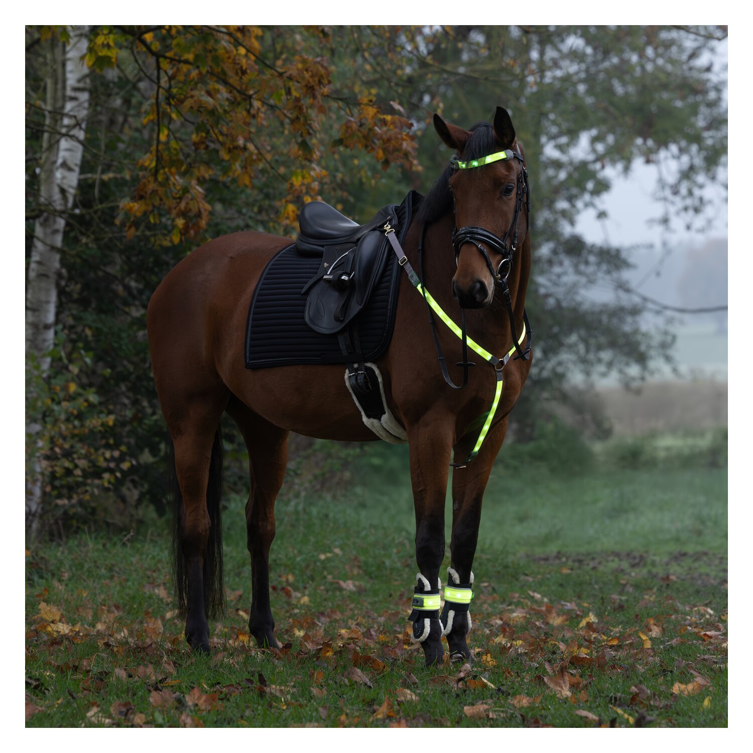 KERBL Stirnriemen LED – Ansicht 8