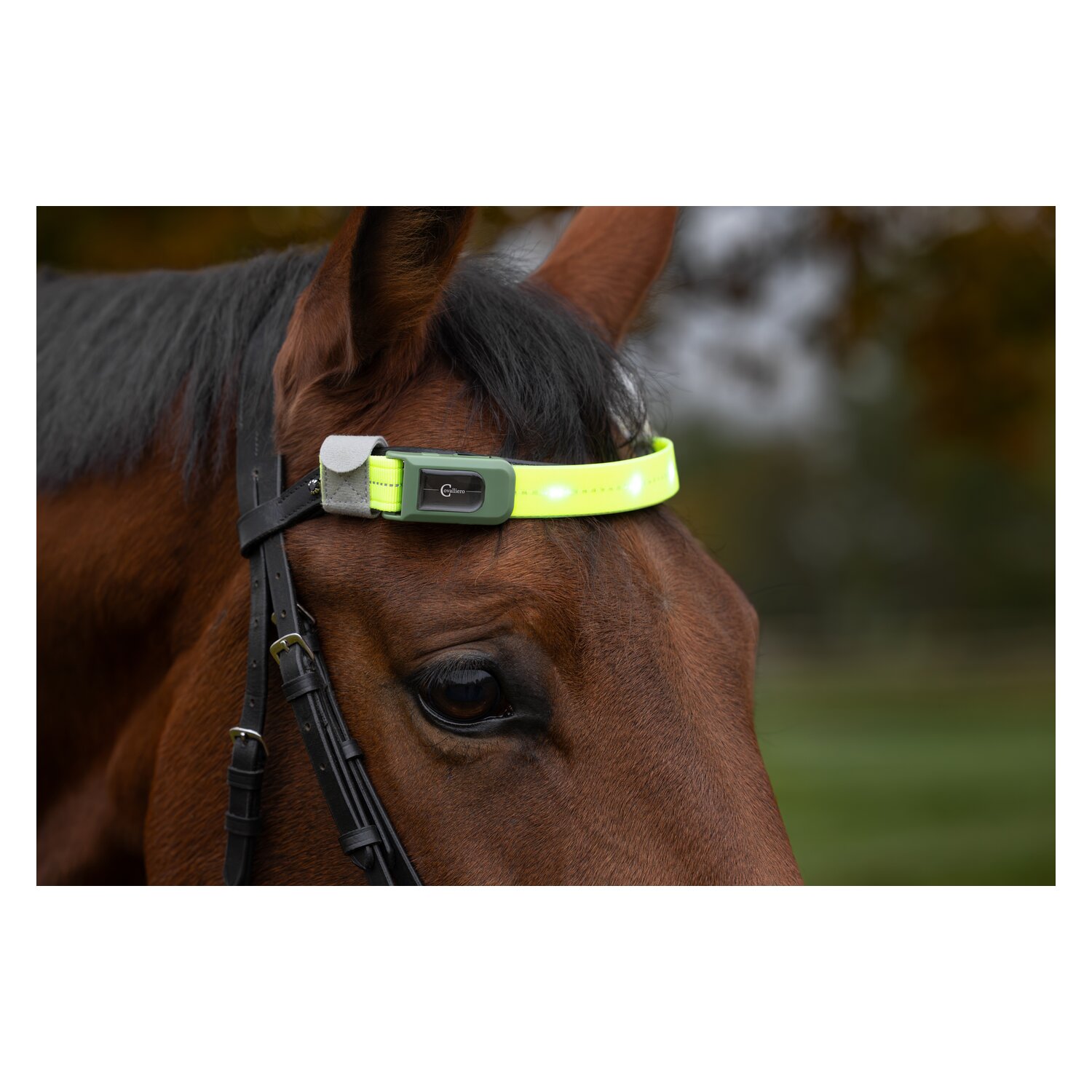 KERBL Stirnriemen LED – Ansicht 3