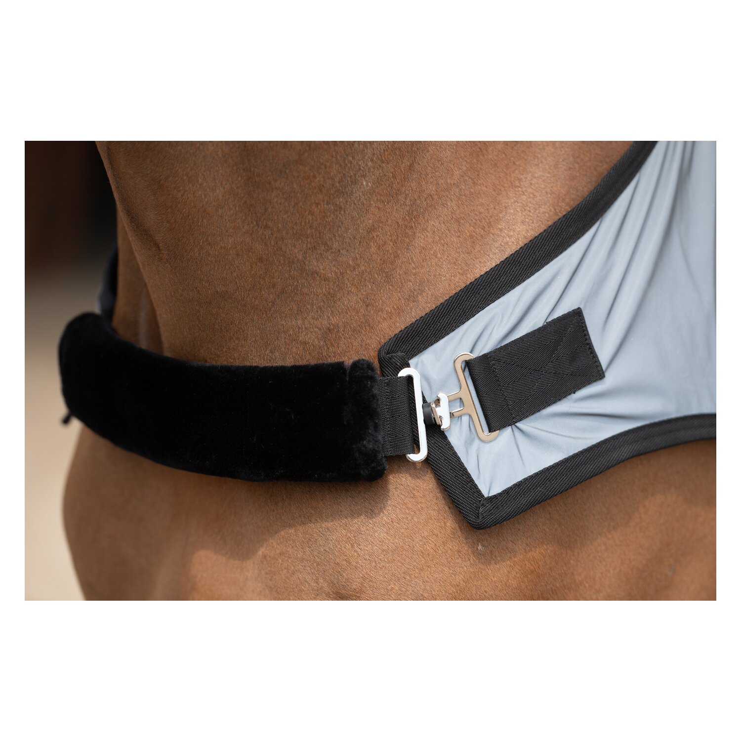 PROTECT by Horse-friends Bewegungsdecke – Ansicht 3