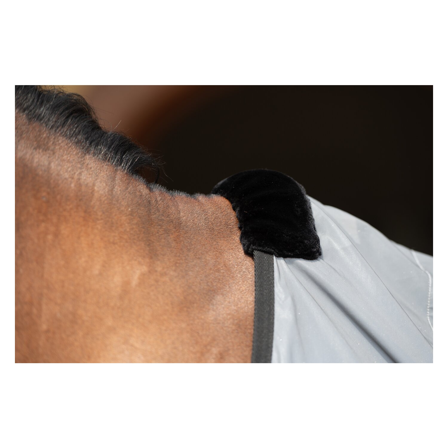 PROTECT by Horse-friends Bewegungsdecke – Ansicht 4