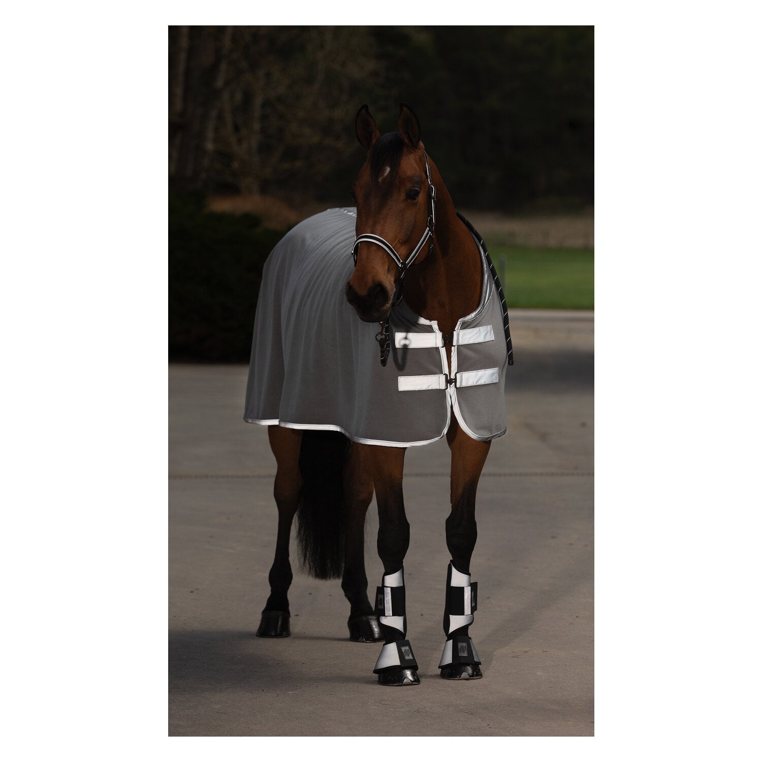 PROTECT by Horse-friends Reflektierendes Halfter &ndash; Ansicht 2